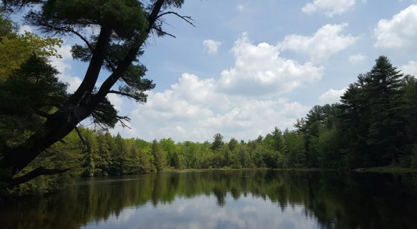You’ll Never Believe What Secrets This Stunning State Park In Pennsylvania Is Hiding