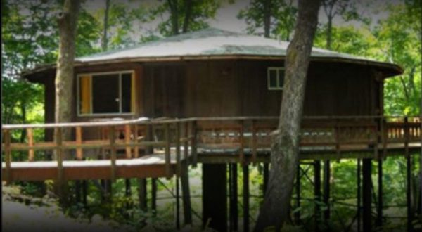 This Little Known Tree House In Kentucky Is The Perfect Place To Get Away From It All