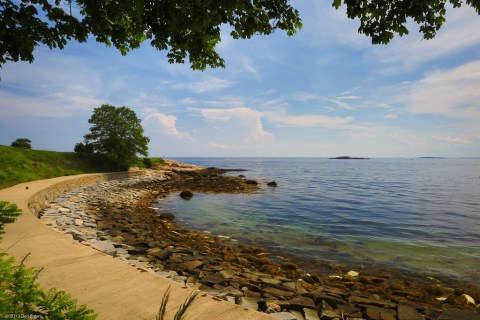 These 10 Gorgeous Waterfront Trails In Massachusetts Are Perfect For A Summer Day