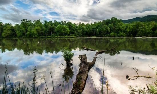 These 11 Rustic Spots In Tennessee Are Extraordinary For Camping