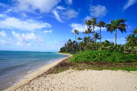 8 Of The Best Beaches In Honolulu To Visit This Summer