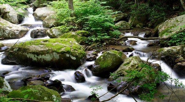 This Little Known Trail In West Virginia Is The Perfect Place To Get Away From It All