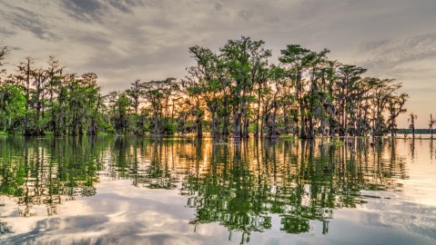 This Underrated Lake Just Might Be The Most Beautiful Place In Louisiana