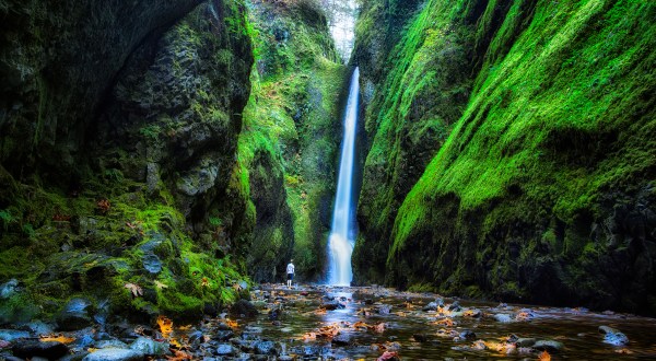 This Hike In Portland Will Give You An Unforgettable Experience