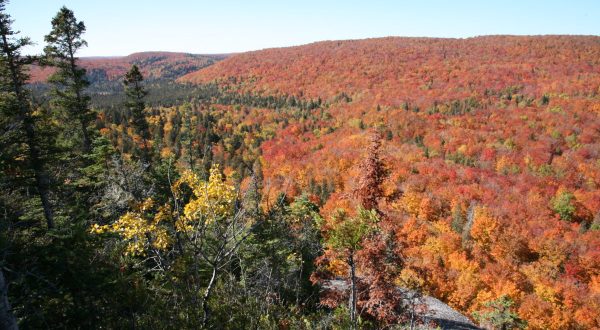 What’s Waiting For You At The End Of These 9 Minnesota Hikes Will Leave You In Awe