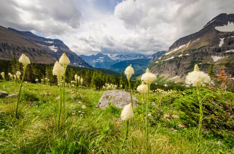 12 Undeniable Reasons Why You'll Fall In Love With Glacier National Park In Montana