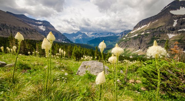12 Undeniable Reasons Why You’ll Fall In Love With Glacier National Park In Montana