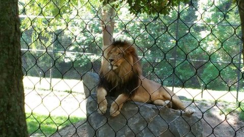 One Of The Best Zoos In The Nation Is Right Here In New Jersey...And You'll Want To Visit