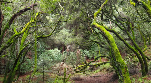 10 Incredible Hikes Under 5 Miles Everyone Around San Francisco Should Take