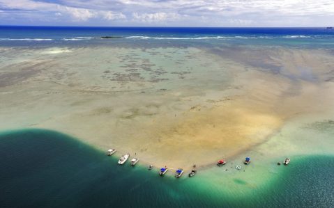 Hawaii's Magical Kaneohe Sandbar Is Only Accessible During Low Tide