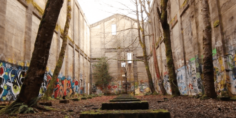 Nature Is Reclaiming This One Abandoned Oregon Spot And It's Actually Amazing