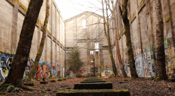 Nature Is Reclaiming This One Abandoned Oregon Spot And It’s Actually Amazing