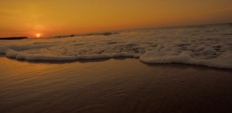 This Beautiful Video Of Edisto Island Shows Off One Of South Carolina's Best Kept Secrets