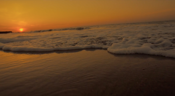 This Beautiful Video Of Edisto Island Shows Off One Of South Carolina’s Best Kept Secrets