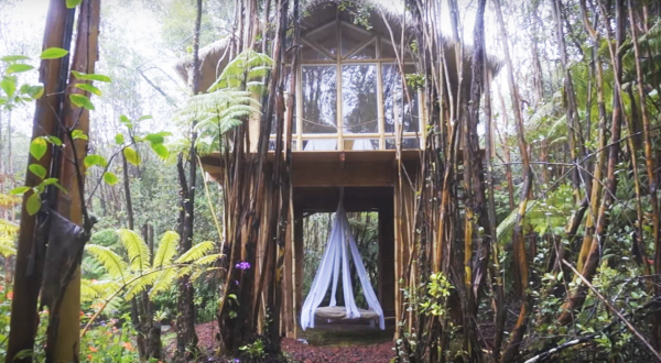 There’s One Awesome Reason Why You’ll Want To Build A Tiny House In Hawaii