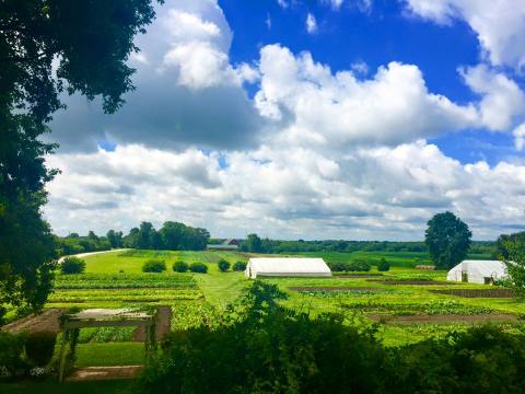 There’s No Restaurant In The World Like This One In Illinois