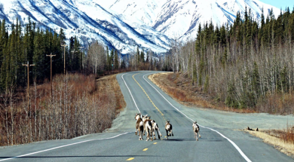 16 Problems You’ll Only Understand If You’re An Alaskan Transplant