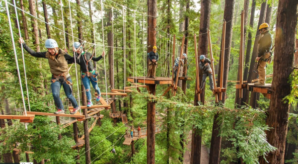 This Canopy Walk Near San Francisco Will Make Your Stomach Drop