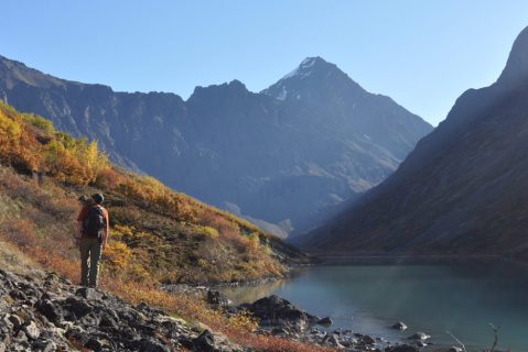 You Haven’t Lived Until You’ve Experienced This One Incredible State Park In Alaska