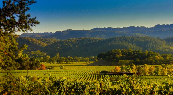 Take These 7 Byways In Northern California For An Unforgettable Scenic Drive