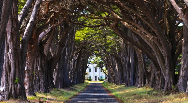 12 Marvels In Northern California That Must Be Seen To Be Believed