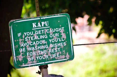 Here Are 12 Things Everyone Needs To Understand Before They Visit Hawaii
