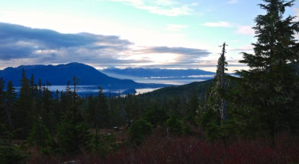 There’s Something Incredibly Unique (And Dangerous) About This One Island In Alaska