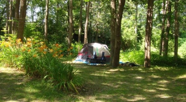 Primitive Camping In Massachusetts: 9 Best Dispersed Campgrounds