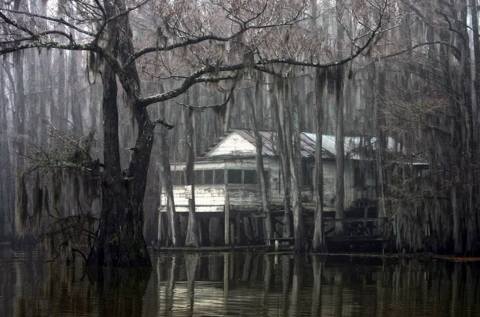 Nature Is Reclaiming This One Abandoned Texas Spot And It's Actually Amazing