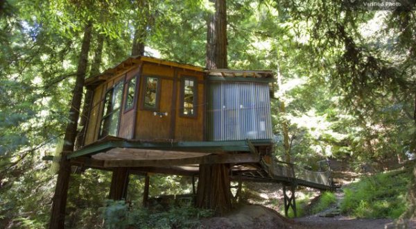 These 5 Treehouses In Northern California Will Give You An Unforgettable Experience
