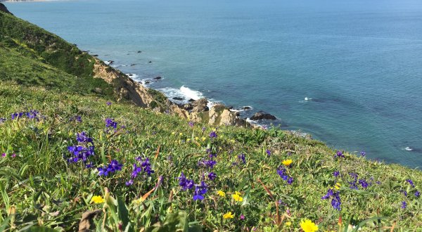This One Easy Hike In Northern California Will Lead You To Someplace Unforgettable
