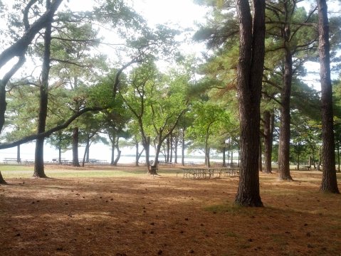 Spend The Night At Point Lookout State Park, Maryland's Most Haunted Campground