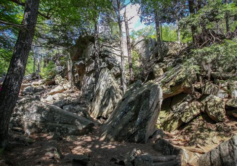 You'll Love Hiking This Surreal Landscape In Massachusetts