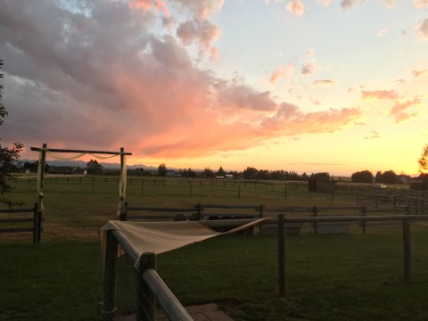 15 Photos That Perfectly Sum Up Montana In The Summer