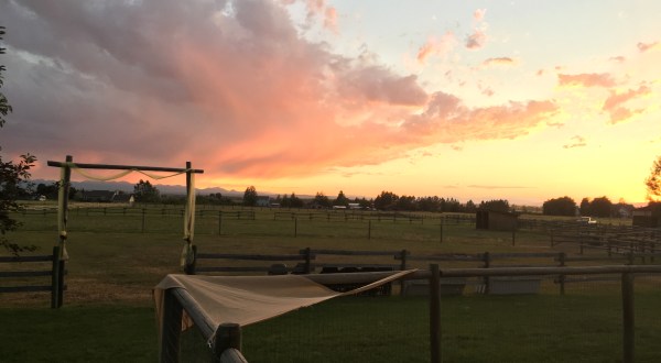 15 Photos That Perfectly Sum Up Montana In The Summer