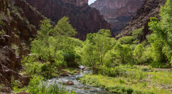8 Peaceful And Secluded Places In Arizona When You Want To Get Away From It All