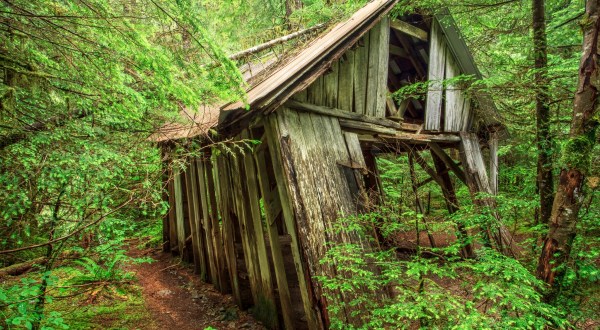 This Place Near Portland Is Being Reclaimed By Mother Nature