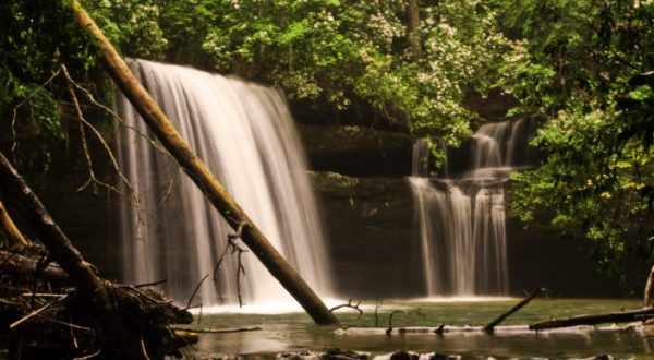 10 Easy Hikes To Add To Your Outdoor Bucket List In Alabama