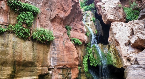 This Little Known Natural Oasis Is Hiding In Arizona…And You’re Going To Love It