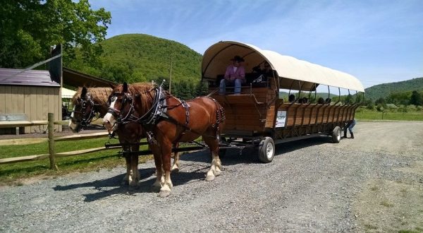 Ole’ Covered Wagon Tours Will Show You Pennsylvania Like You Have Never Seen It Before