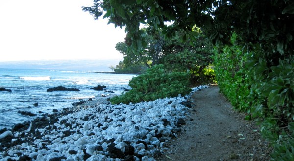 These 12 Gorgeous Waterfront Trails In Hawaii Are Perfect For A Summer Day