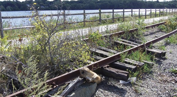 You’ve Never Experienced Anything Like This Epic Abandoned Railroad Trail In Rhode Island