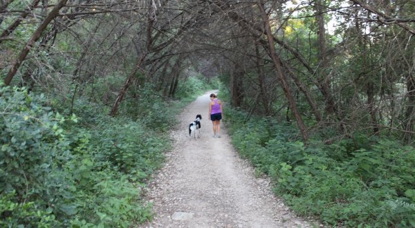 Some People Call This Greenbelt In Austin A Little Slice Of Paradise
