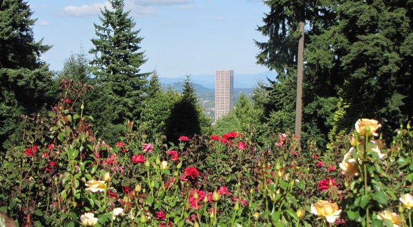 These 10 Unique Places in Portland Are An Absolute Must-See . . . And Soon!