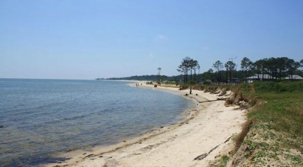 Here Are 7 Islands In Alabama That Are An Absolute Must Visit