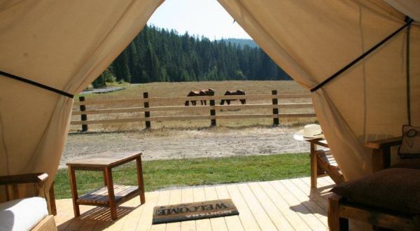 Stay At One Of These 7 Montana Ranches For A Truly Unique Experience