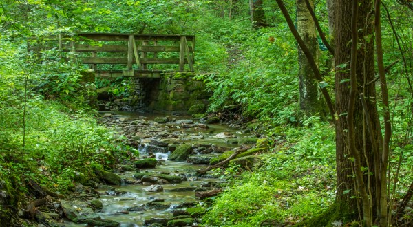 This State Forest Is A Lush Natural Wonderland In West Virginia