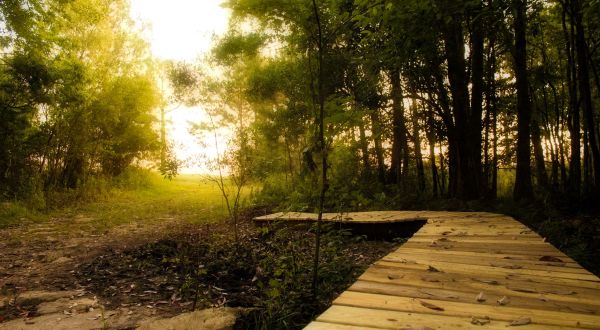 Most People Don’t Know About This Hidden Nature Preserve In Alabama