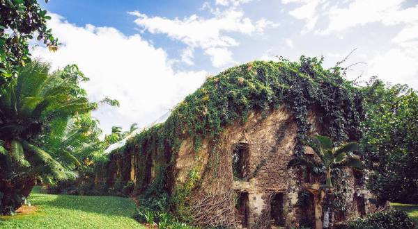 This Beautiful Mill Hiding In Hawaii Looks Like Something Out Of A Fairy Tale