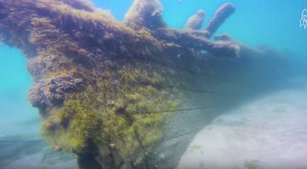 There Are Hundreds Of Sunken Ships In Lake Michigan And They’re Positively Mesmerizing
